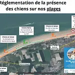Apartman Les Amarres 6 Pers Dunes Et Bleriot
